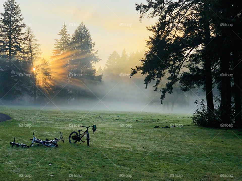 Sunbeams through fog on a misty evening 