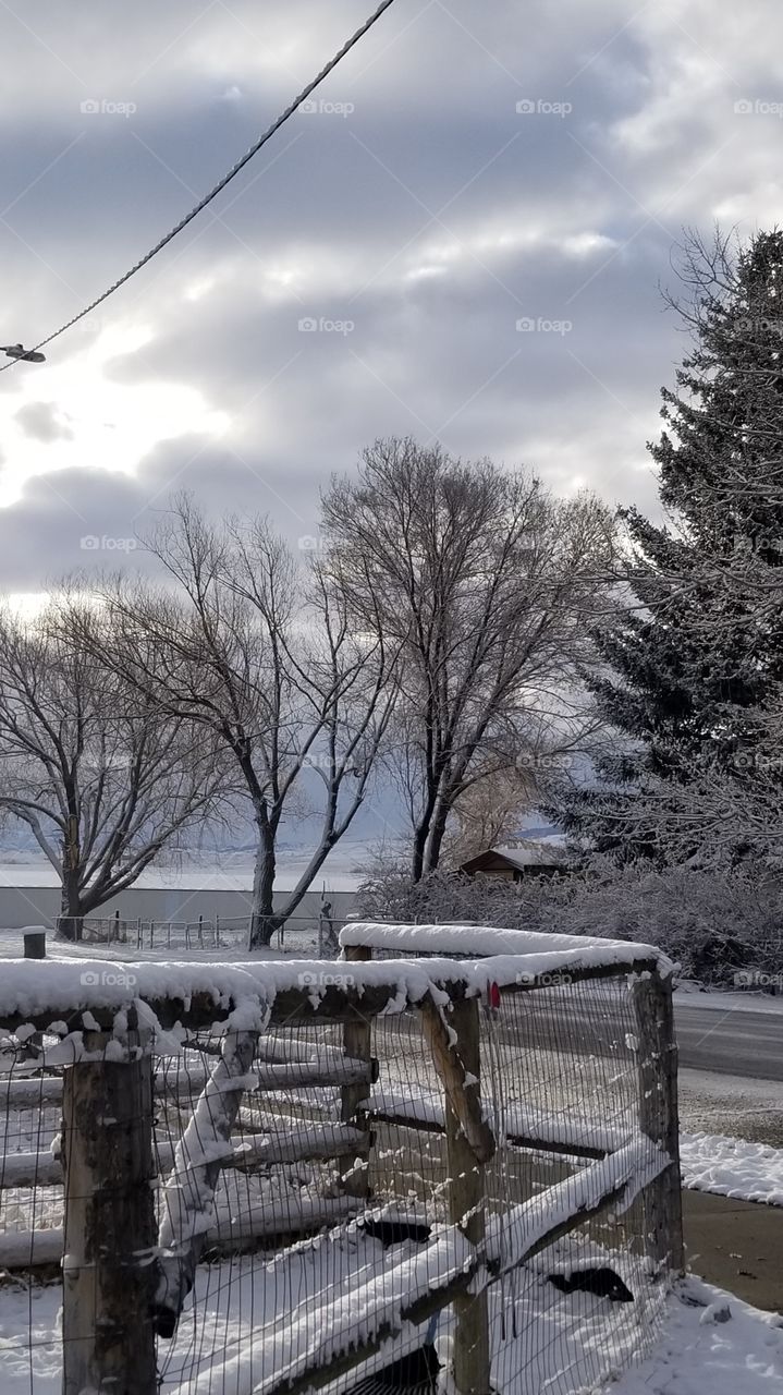 Dawn after the Storm