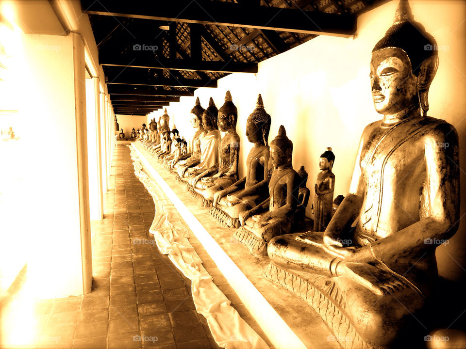 A group of Buddha