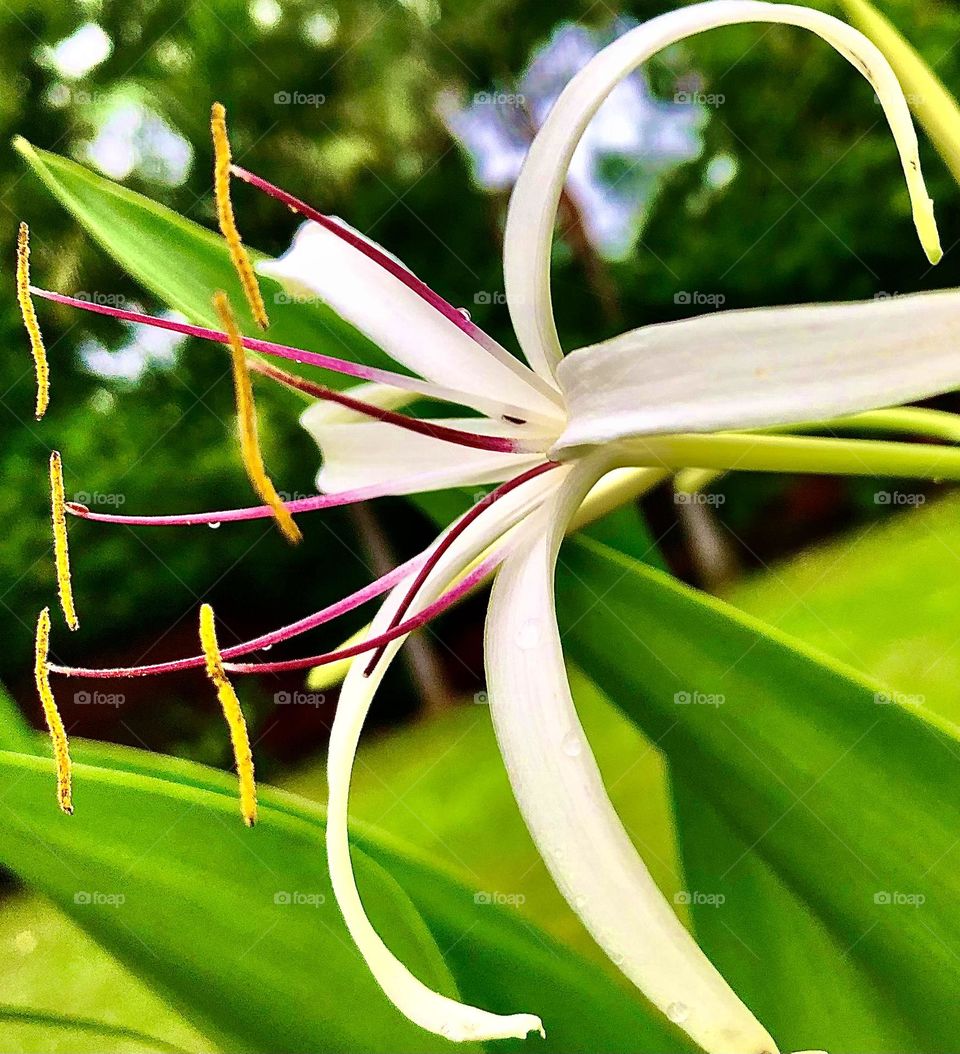 Upload the photo of the month September