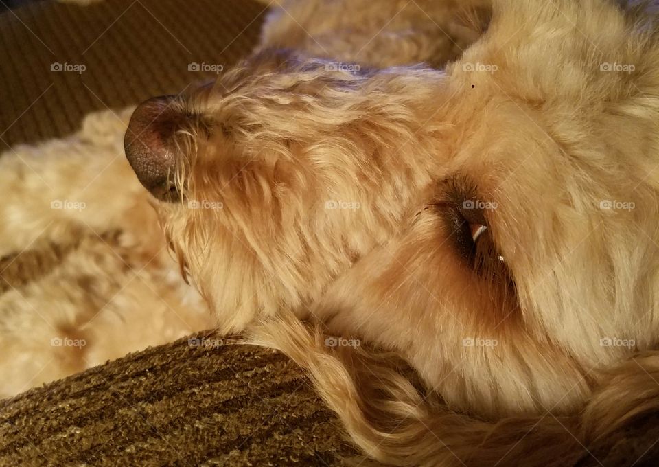 Please just let me sleep