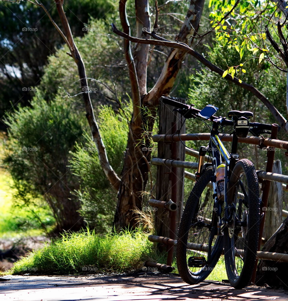 Cycling in