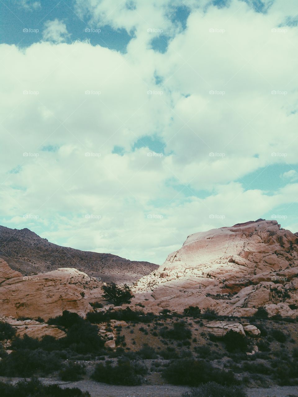 USA 1/25. Red Rock Canyon, NV, 2014