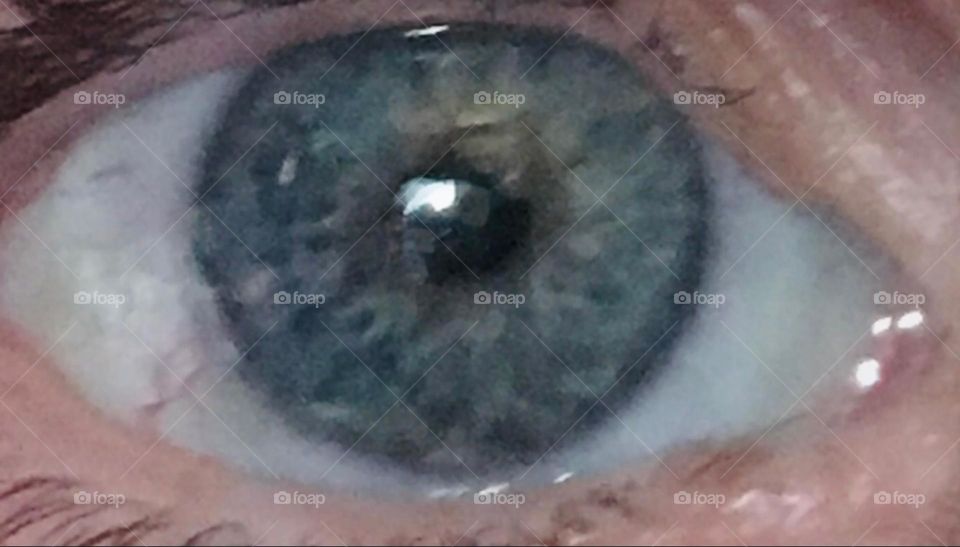 An even closer closeup of Timothy’s left eye showing great detail incl the reflected mirror image of who or whatever he is looking at and who is looking at him. Multifaceted patterning in the iris can also be seen. 2017. Hypnotic Productions