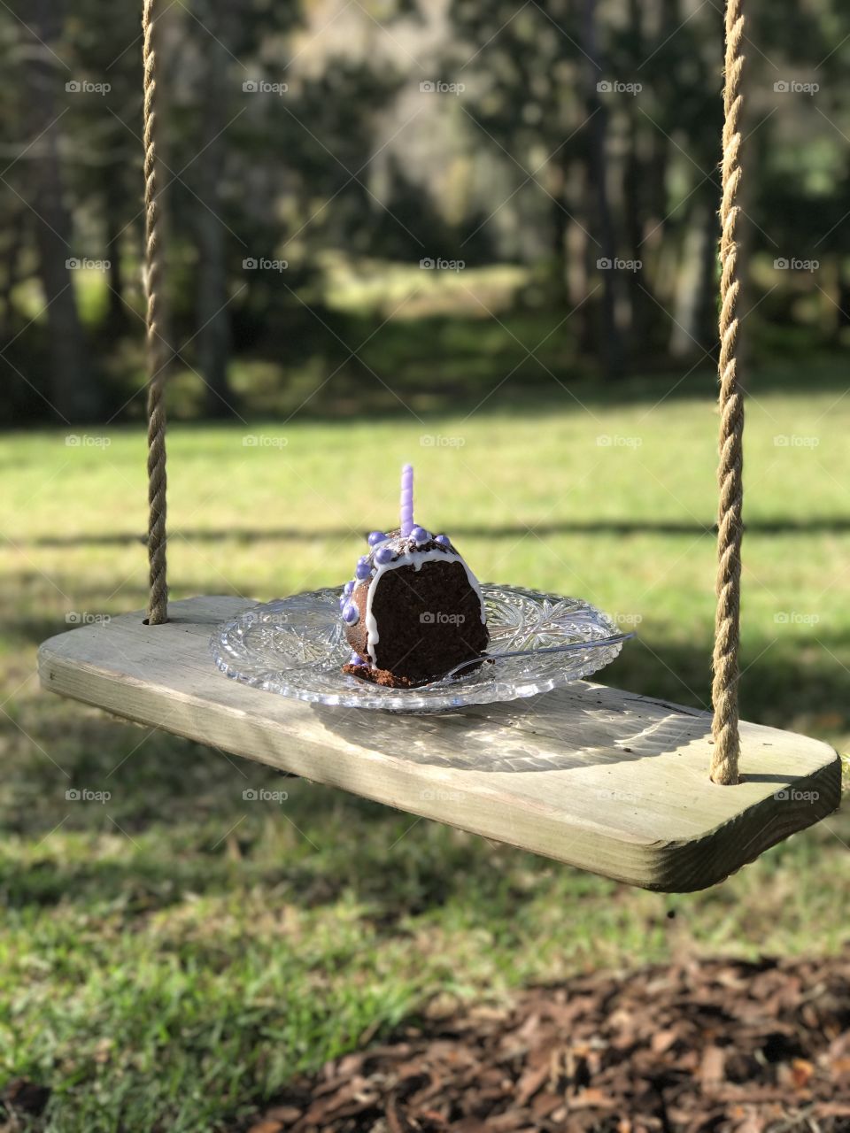 First birthday and a tree swing