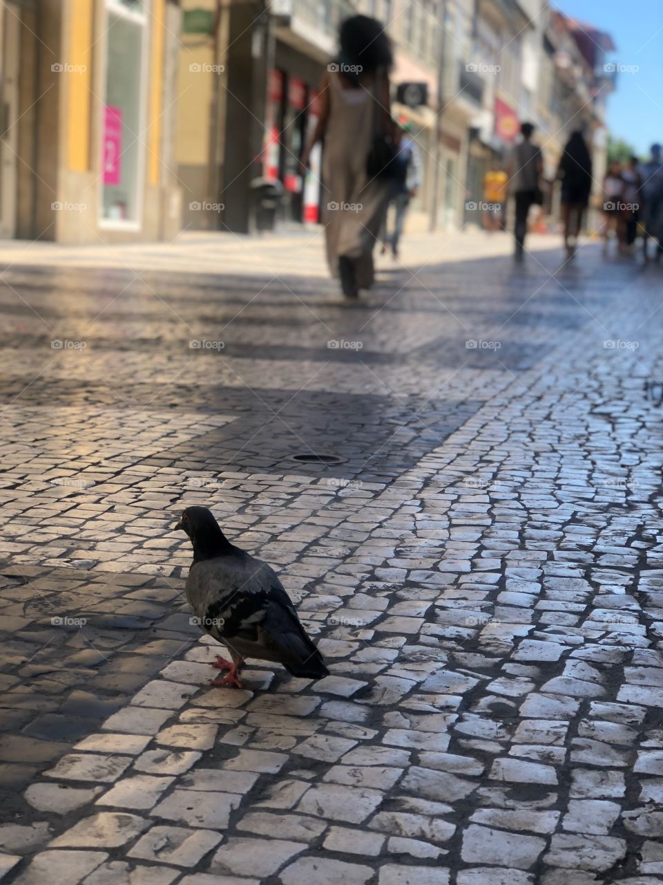 Portugal porto 