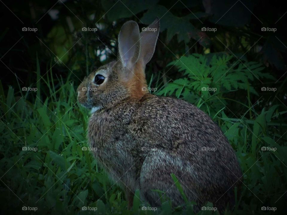 enjoying a summer evening